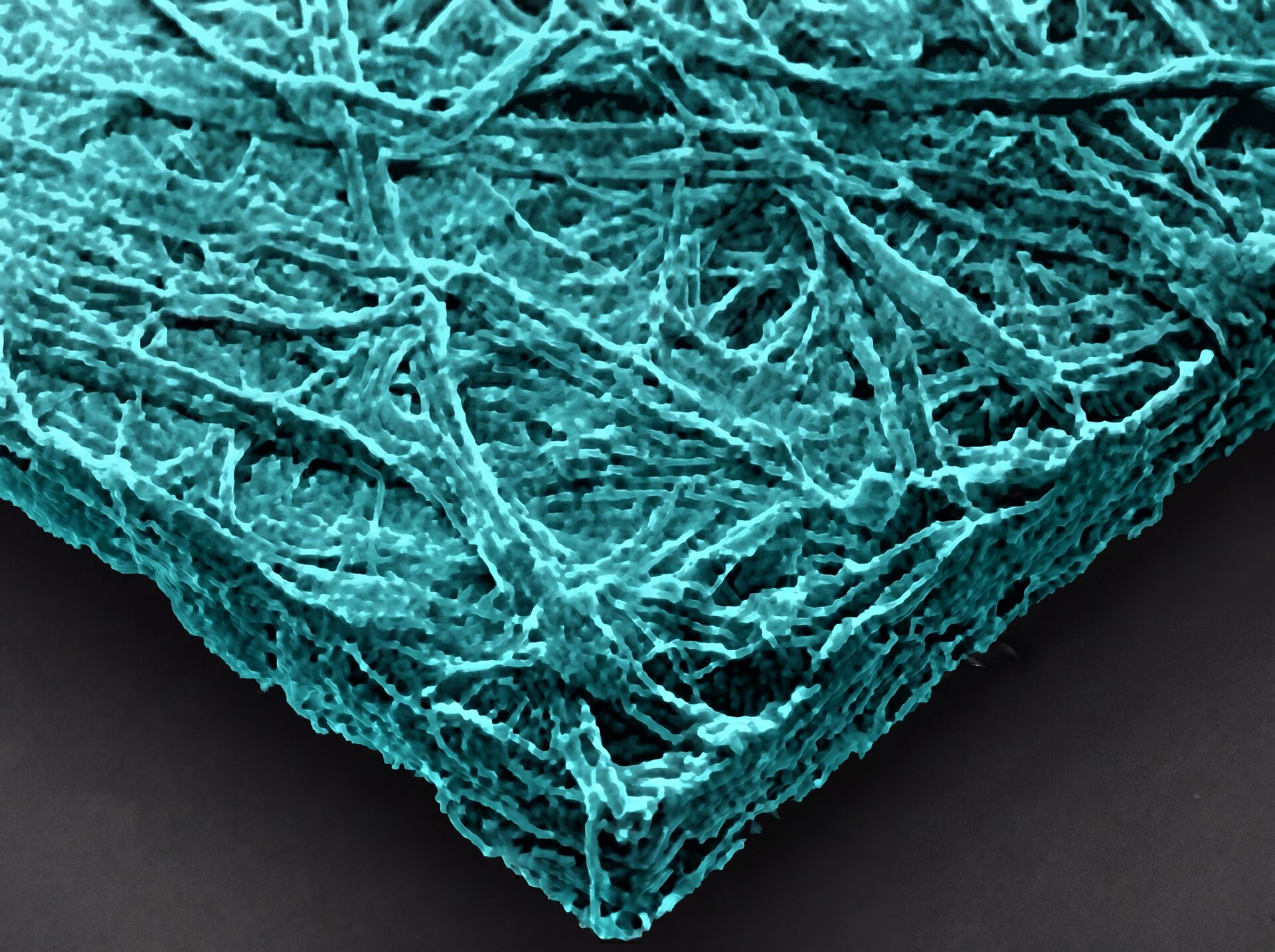Cellulotech grafted paper fibers