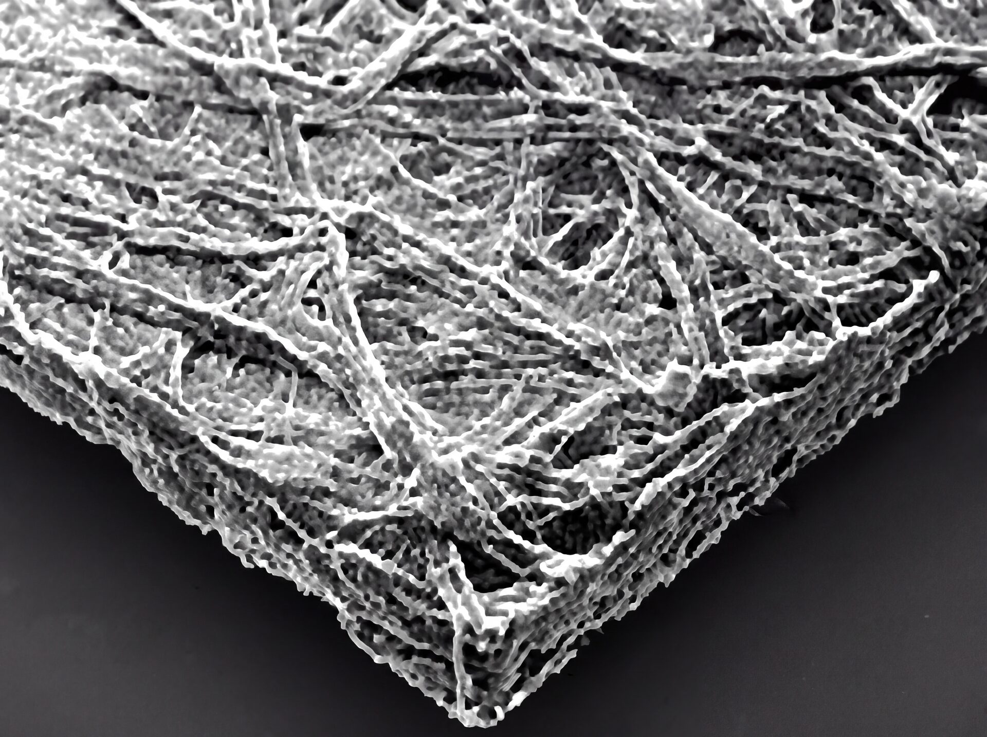 Untreated surface fibers